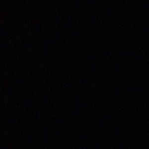 Meet your Posher, Rose